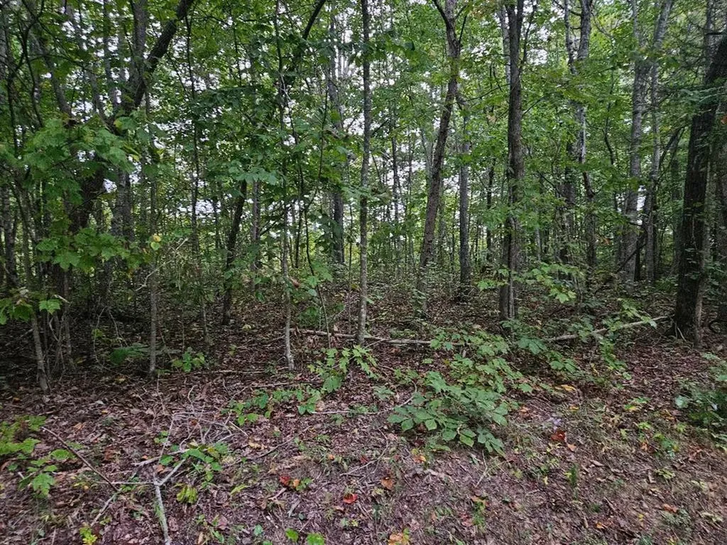 00 Sells Cemetery Road Wilder TN 38589