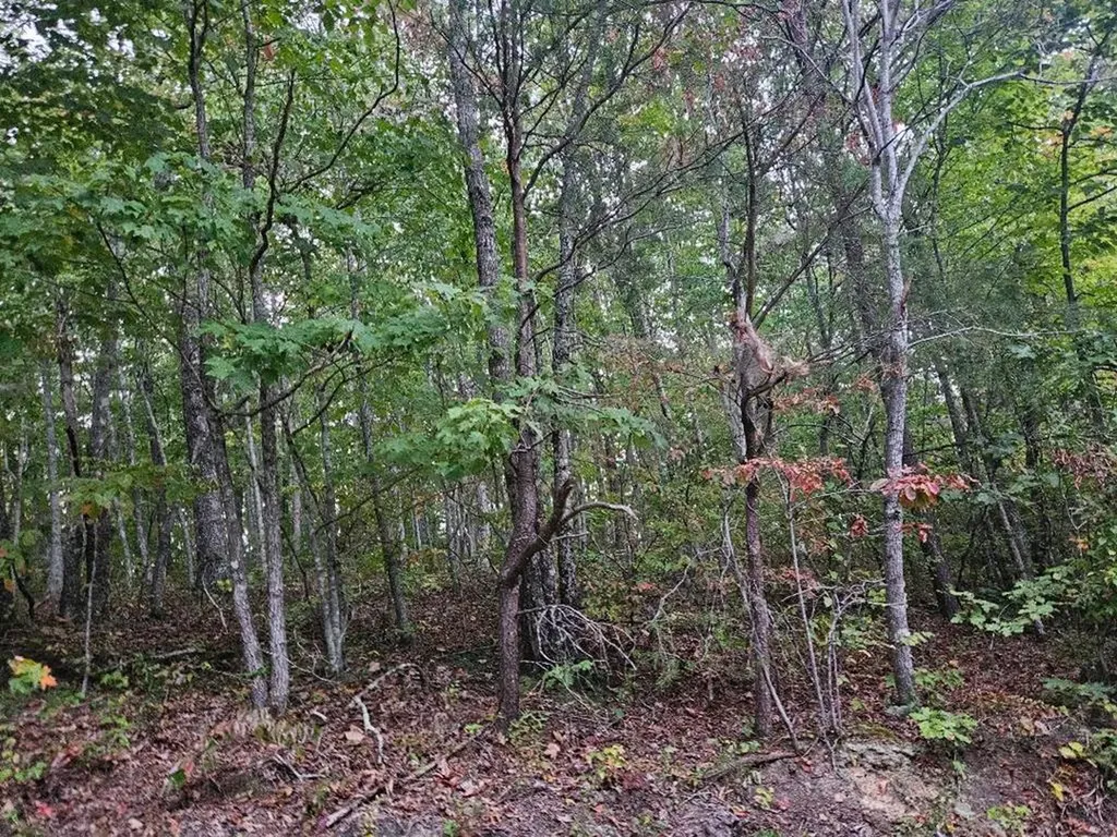 00 Sells Cemetery Road Wilder TN 38589