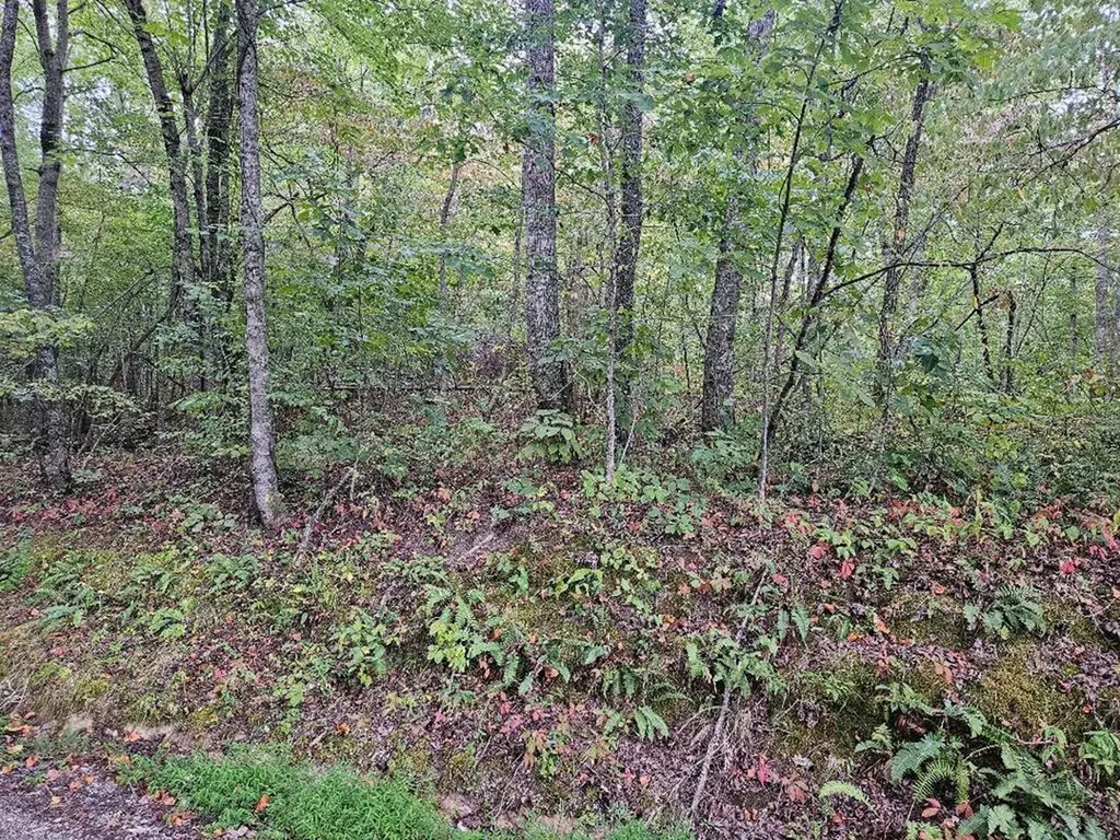 00 Sells Cemetery Road Wilder TN 38589