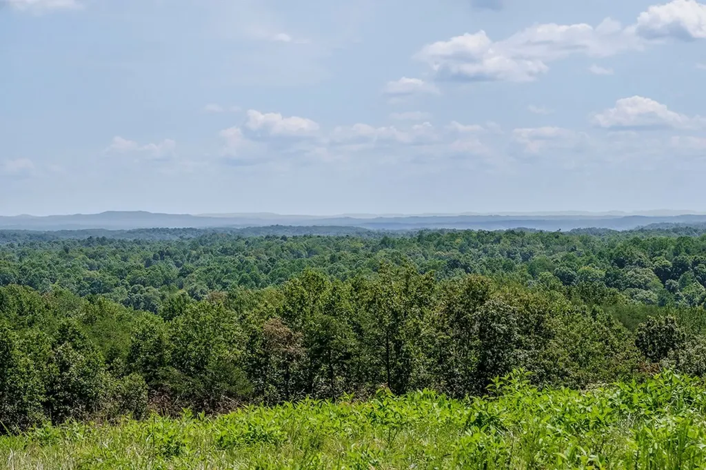0 Mccormick Ridge Road Whitleyville TN 38588