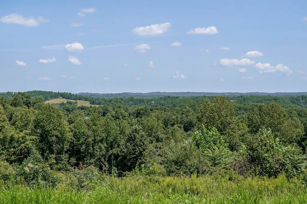0 Mccormick Ridge Road Whitleyville TN 38588
