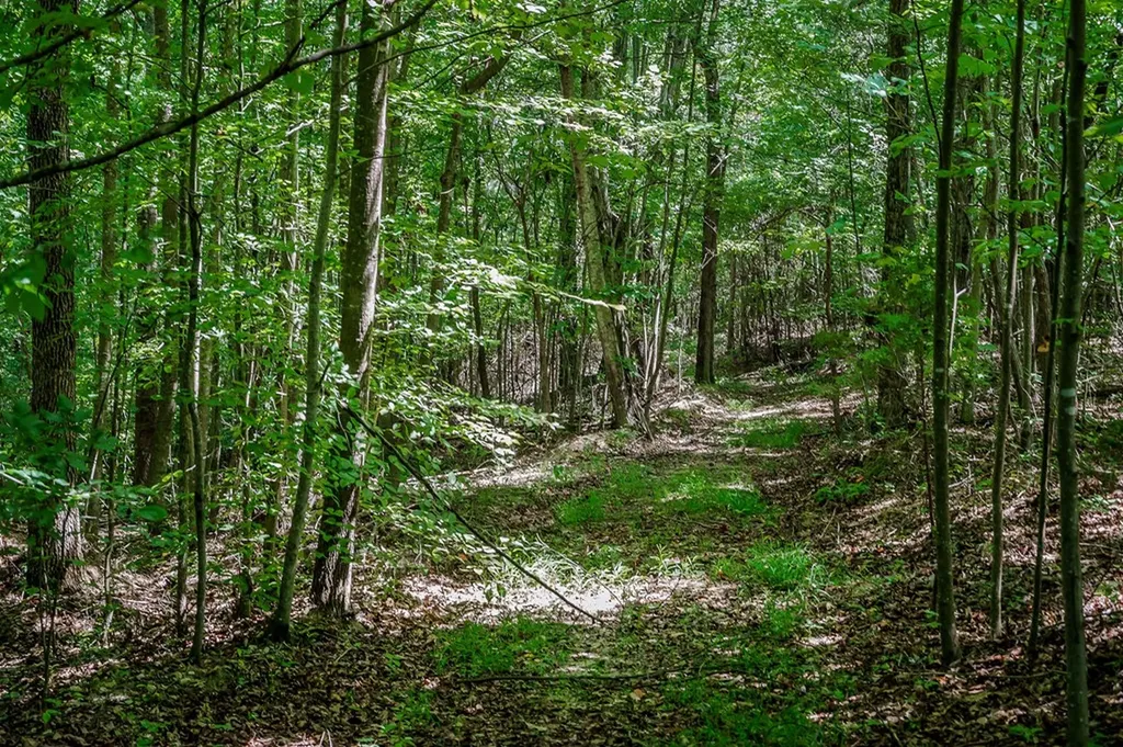 0 Mccormick Ridge Road Whitleyville TN 38588
