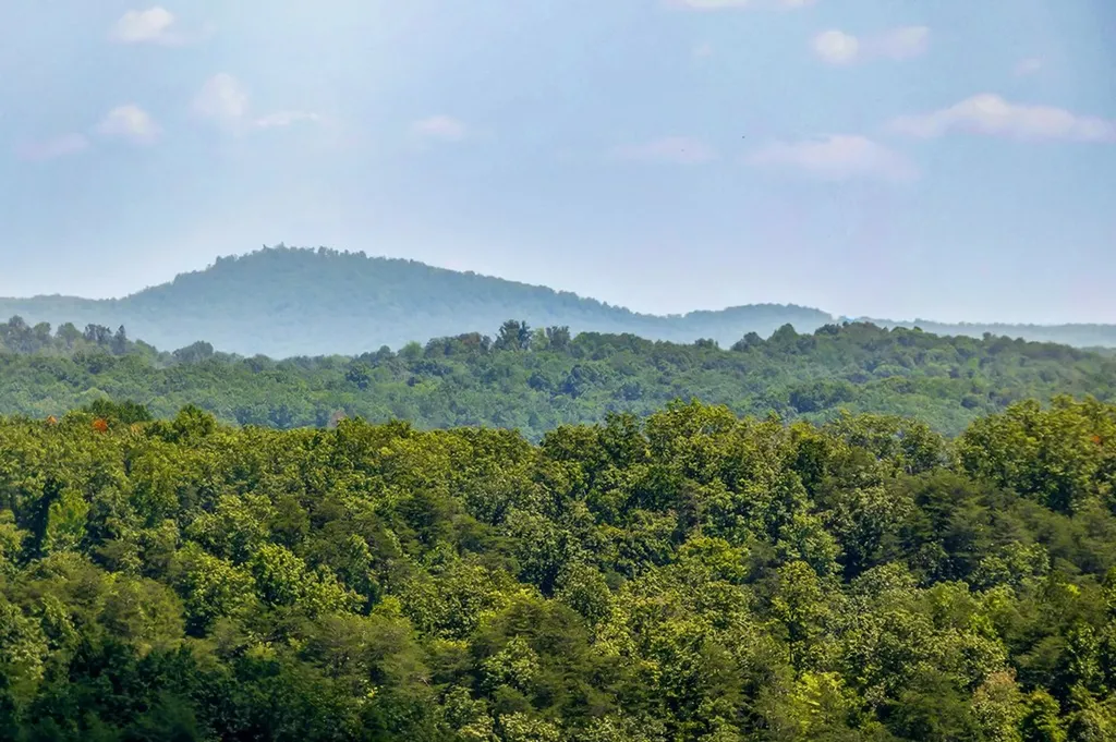 0 Mccormick Ridge Road Whitleyville TN 38588