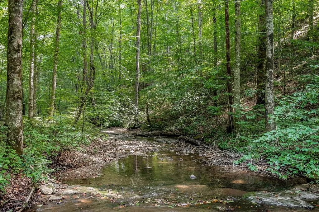 0 Mccormick Ridge Road Whitleyville TN 38588