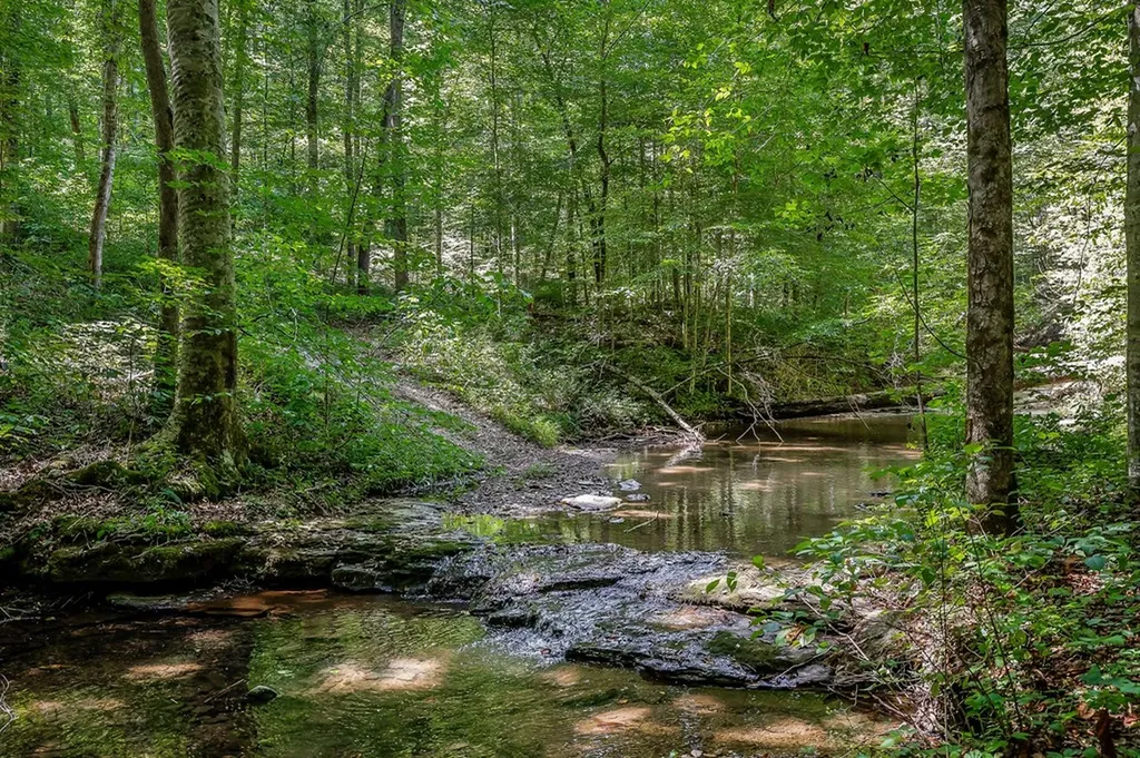 0 Mccormick Ridge Road Whitleyville TN 38588