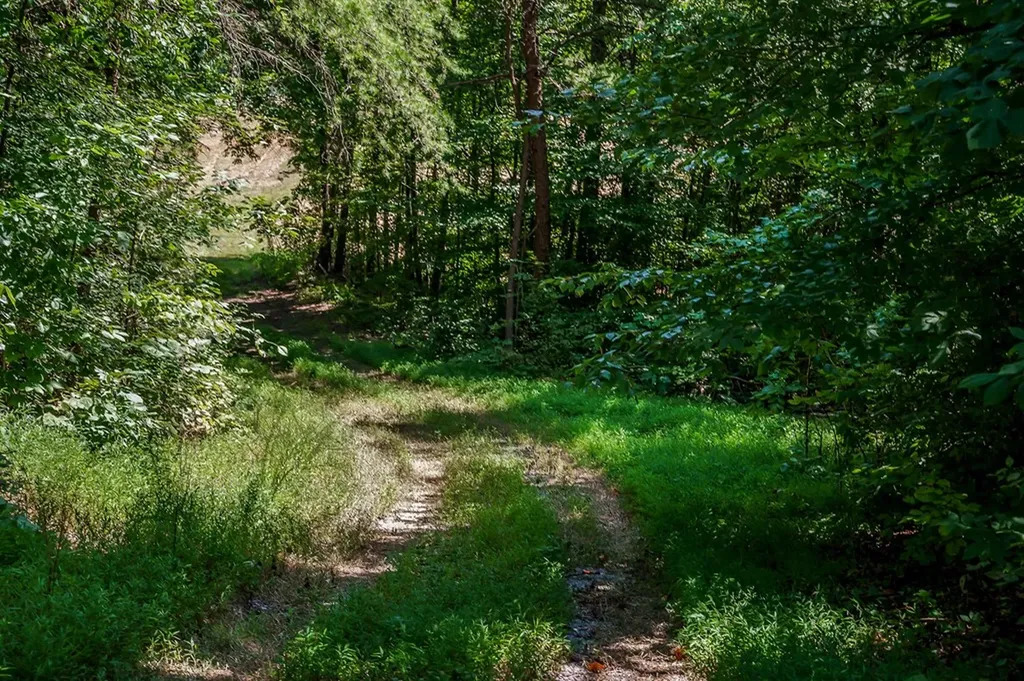 0 Mccormick Ridge Road Whitleyville TN 38588