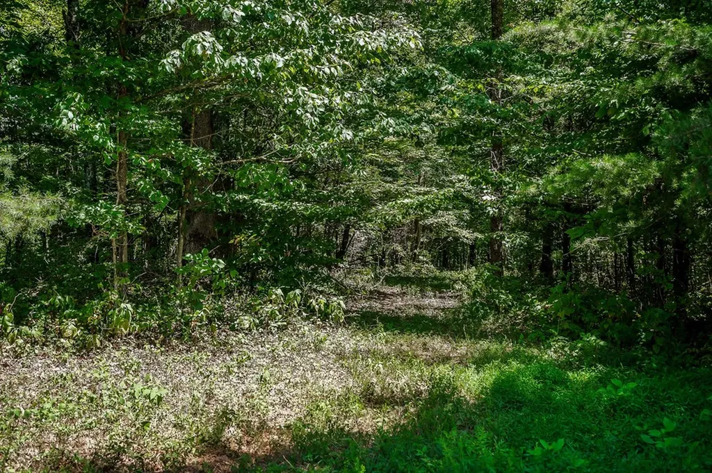 0 Mccormick Ridge Road Whitleyville TN 38588