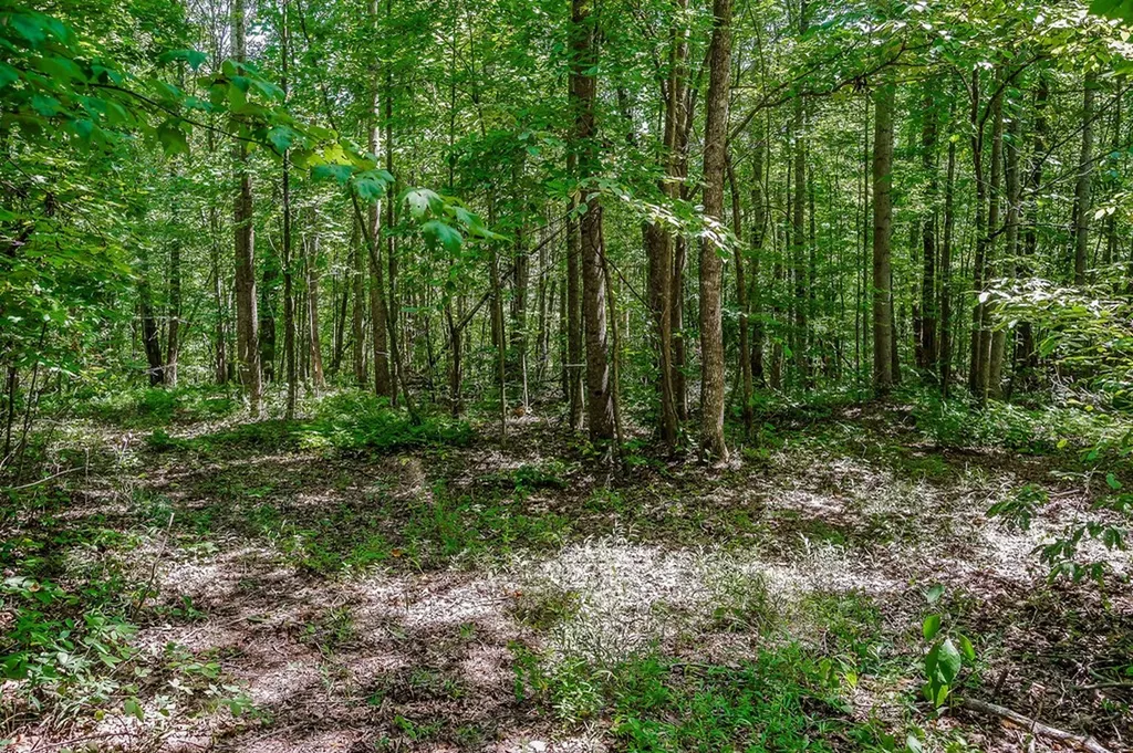 0 Mccormick Ridge Road Whitleyville TN 38588