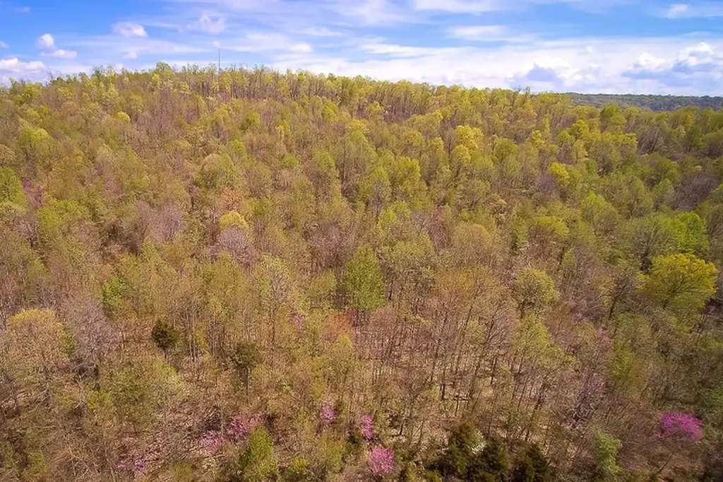 51.77 Ac Highway 111 Cookeville TN 38506