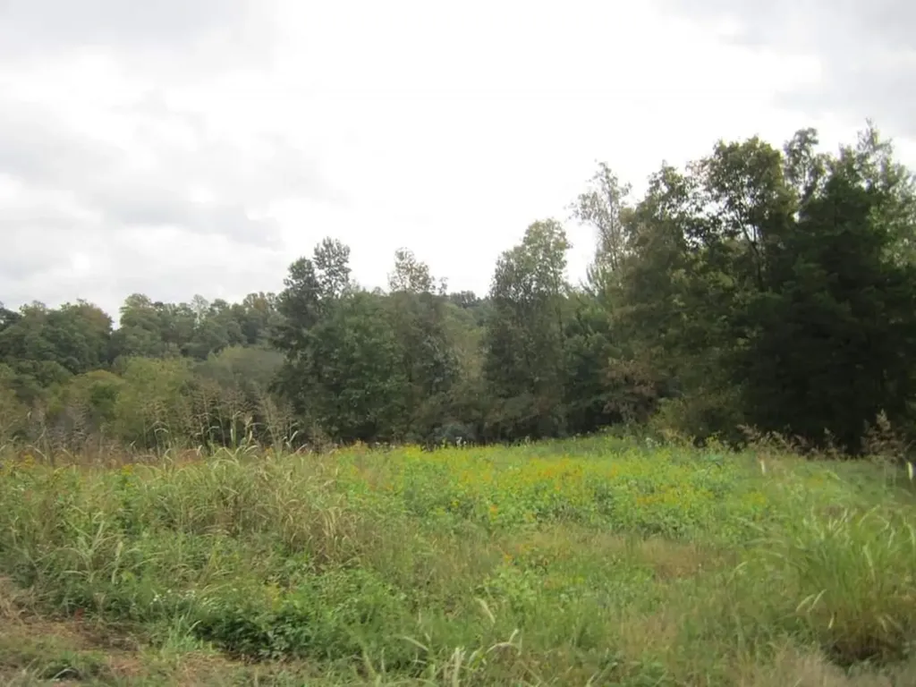 00 Greenwood Ridge Gainesboro TN 38562