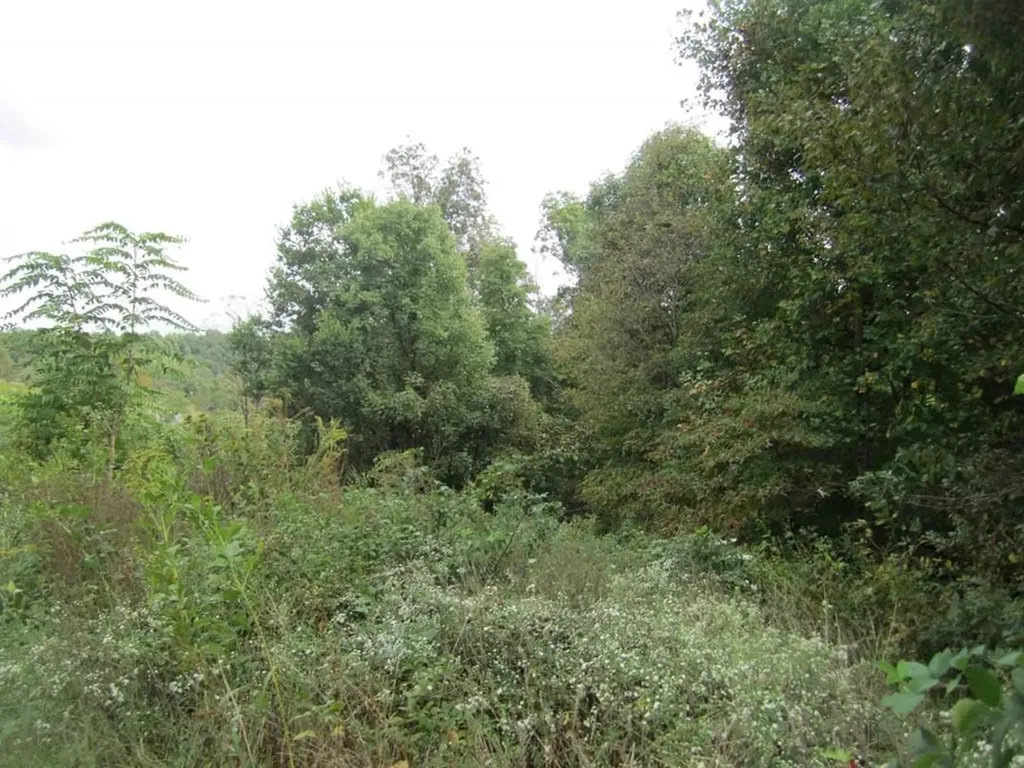00 Greenwood Ridge Gainesboro TN 38562