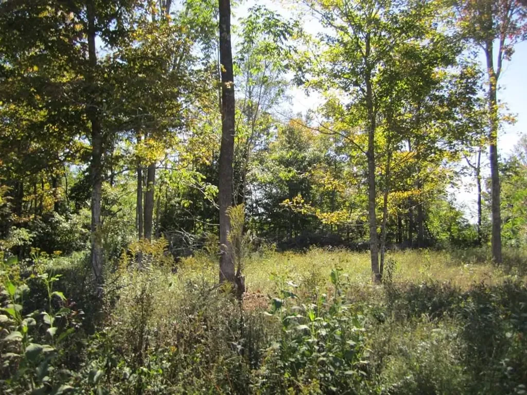 00 Greenwood Ridge Gainesboro TN 38562