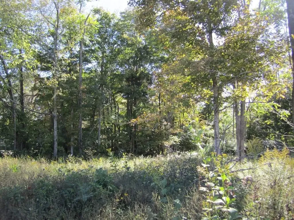 00 Greenwood Ridge Gainesboro TN 38562