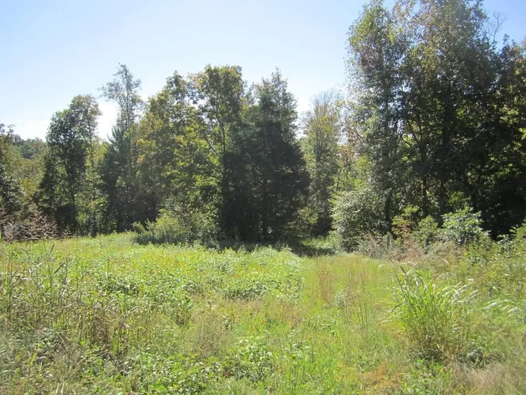 00 Greenwood Ridge Gainesboro TN 38562