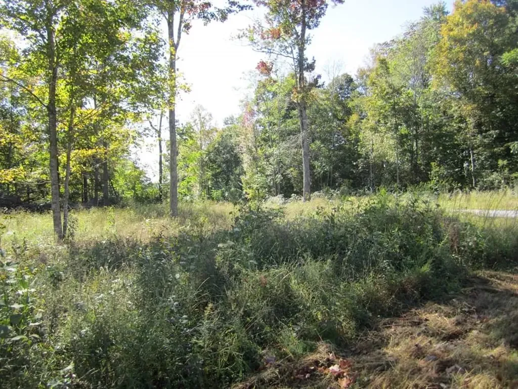 00 Greenwood Ridge Gainesboro TN 38562