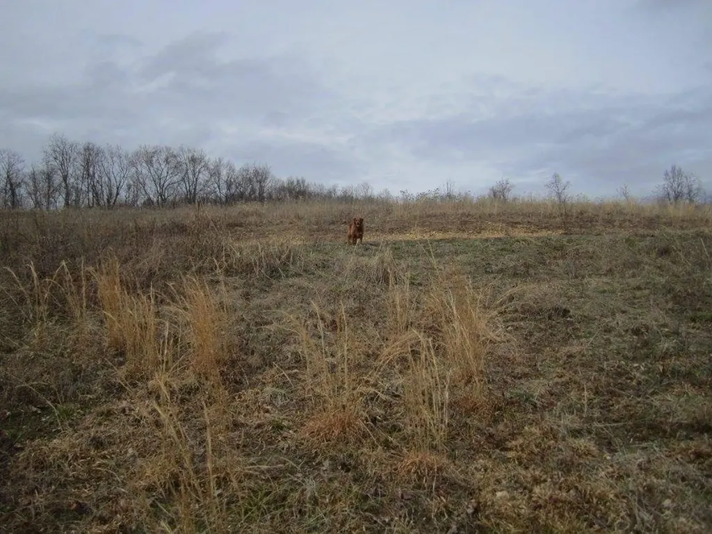 00 Greenwood Ridge Gainesboro TN 38562