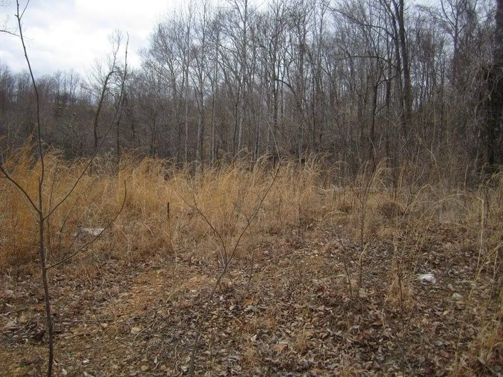 00 Greenwood Ridge Gainesboro TN 38562