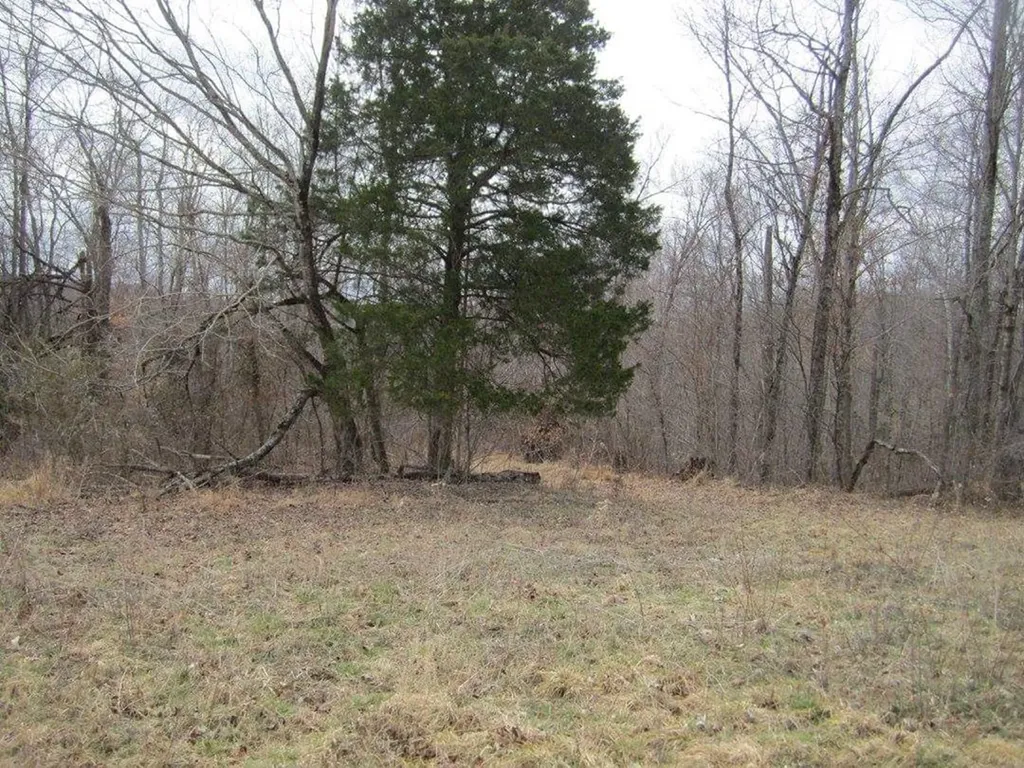00 Greenwood Ridge Gainesboro TN 38562