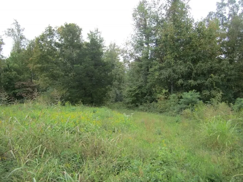 00 Greenwood Ridge Gainesboro TN 38562