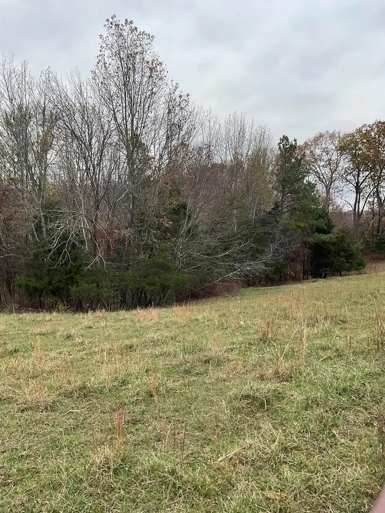 3203 Lee Seminary Road Cookeville TN 38506