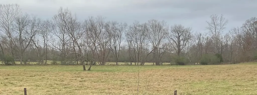 3203 Lee Seminary Road Cookeville TN 38506