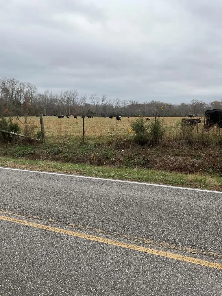 3203 Lee Seminary Road Cookeville TN 38506