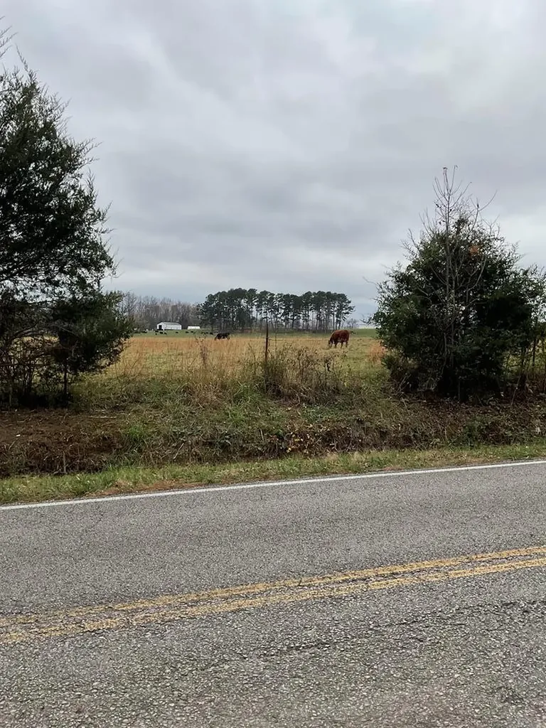 3203 Lee Seminary Road Cookeville TN 38506