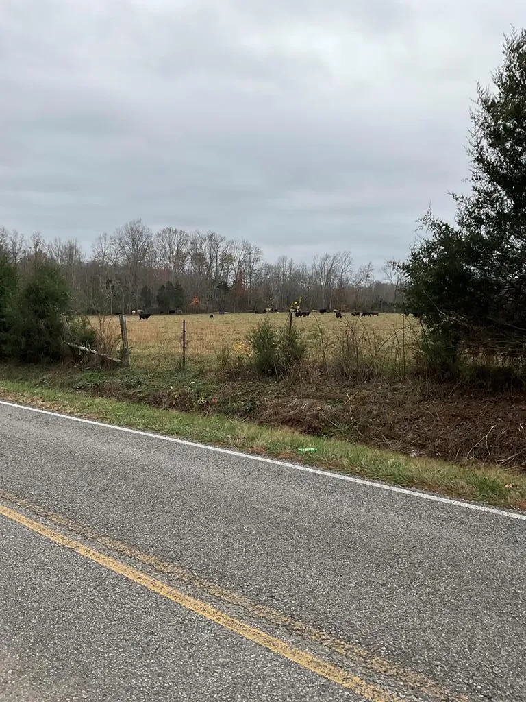 3203 Lee Seminary Road Cookeville TN 38506