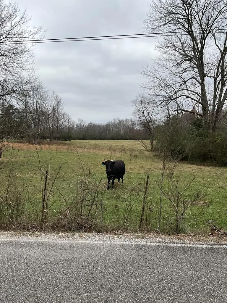 3203 Lee Seminary Road Cookeville TN 38506