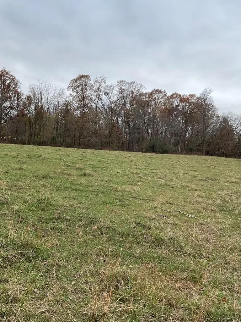 3203 Lee Seminary Road Cookeville TN 38506