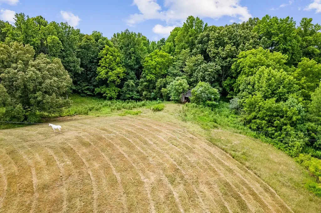 8445 Smithville Highway Sparta TN 38583