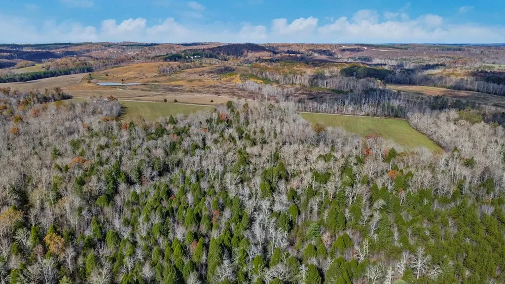 10612 Newton Road Crossville TN 38572