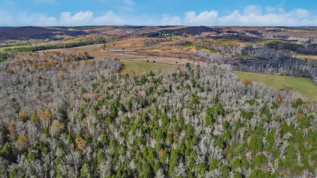 10612 Newton Road Crossville TN 38572