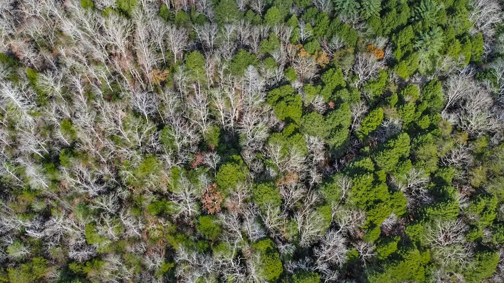 10612 Newton Road Crossville TN 38572