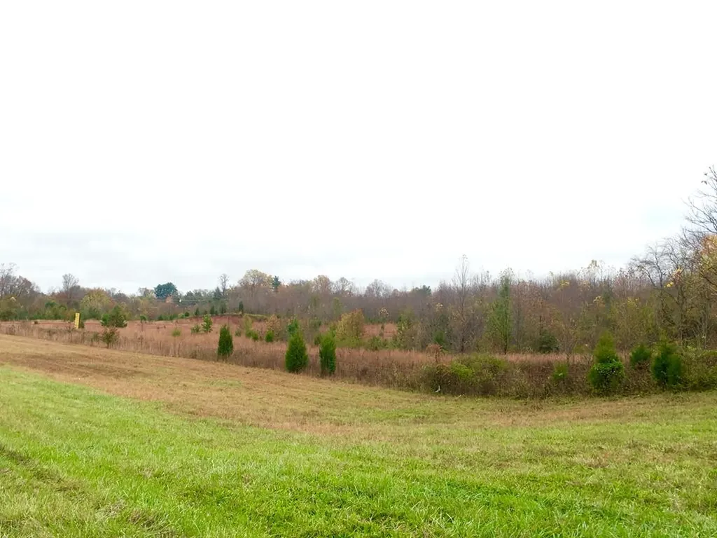 26.9 Ac E Skyline Drive Cookeville TN 38501