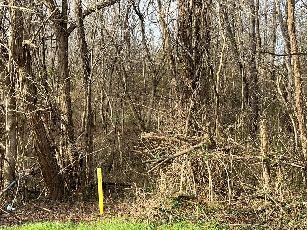 0 N. Main Street Byrdstown TN 38549