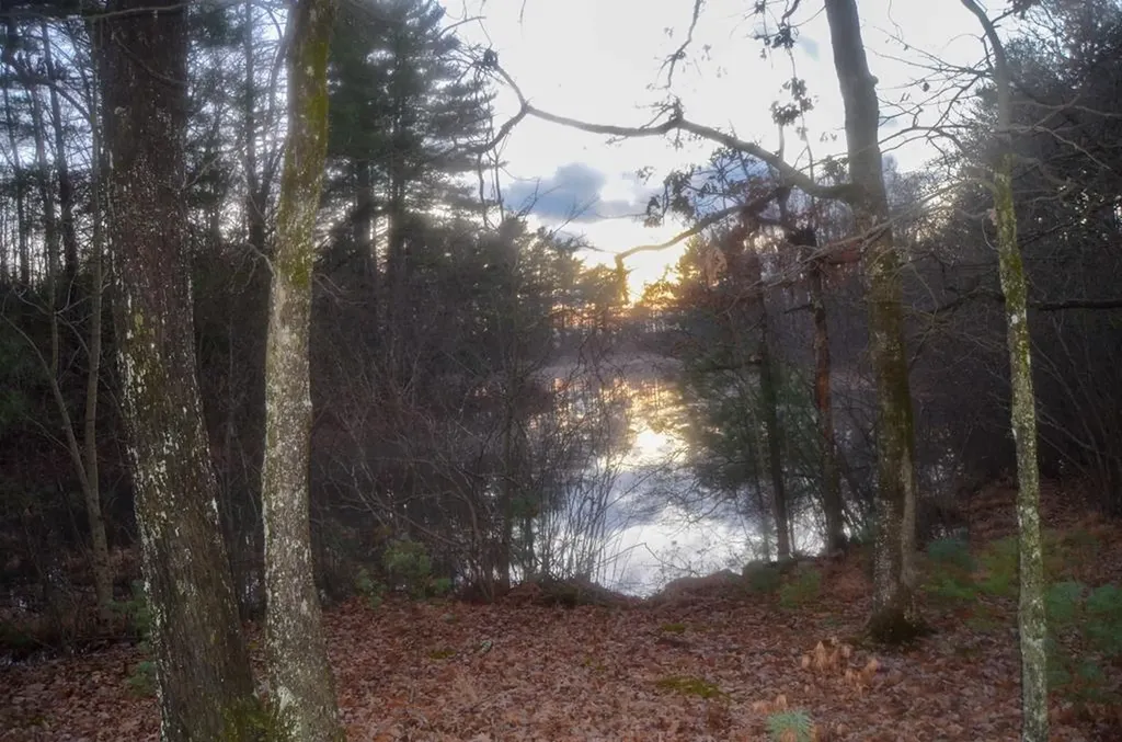 0 Sparta Highway 63.3 Acres Crossville TN 38555