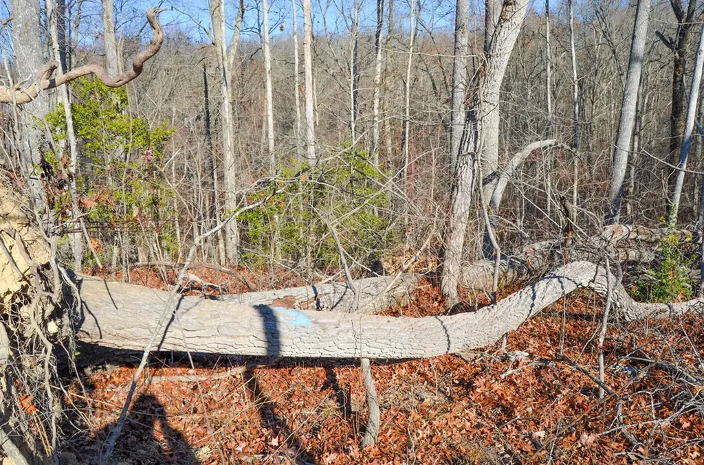0 Sparta Highway 63.3 Acres Crossville TN 38555