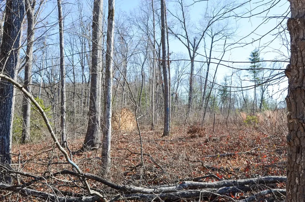 0 Sparta Highway 63.3 Acres Crossville TN 38555