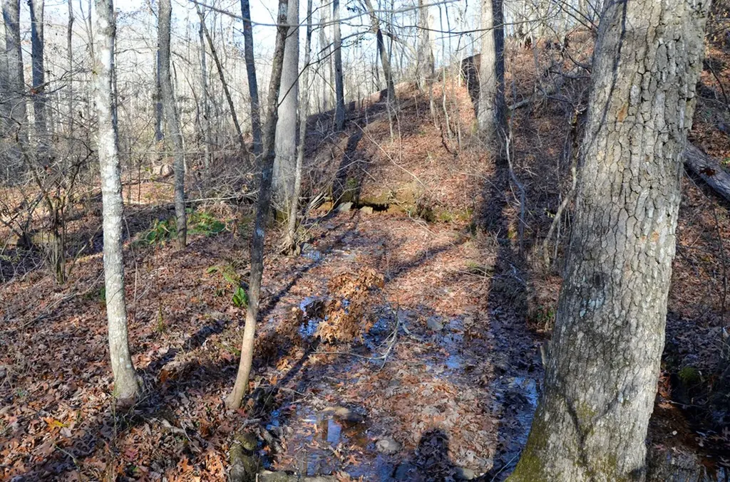 0 Sparta Highway 63.3 Acres Crossville TN 38555