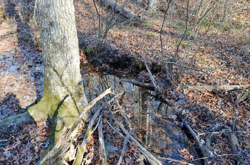 0 Sparta Highway 63.3 Acres Crossville TN 38555