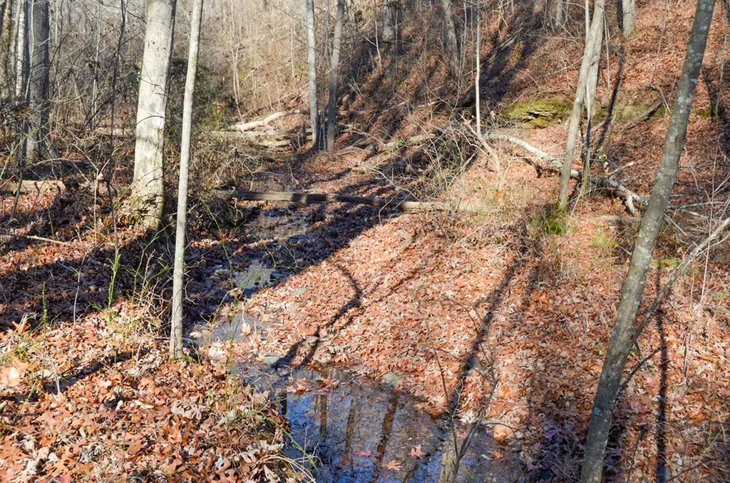 0 Sparta Highway 63.3 Acres Crossville TN 38555