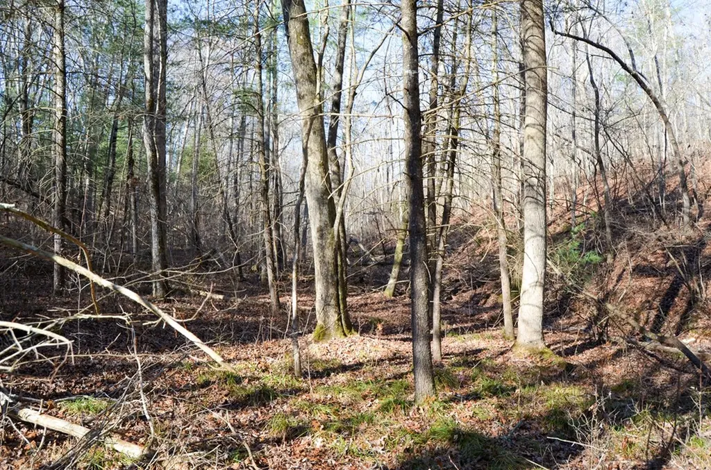 0 Sparta Highway 63.3 Acres Crossville TN 38555