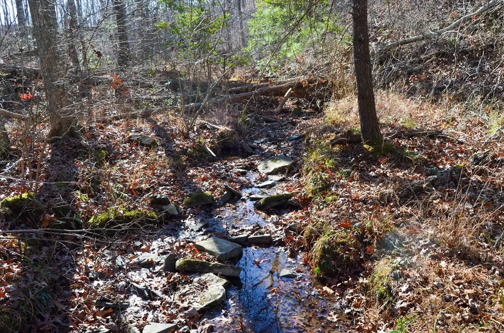 0 Sparta Highway 63.3 Acres Crossville TN 38555
