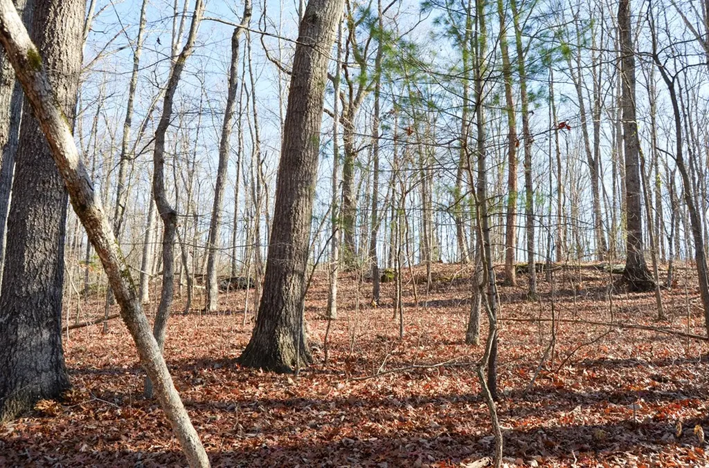 0 Sparta Highway 63.3 Acres Crossville TN 38555