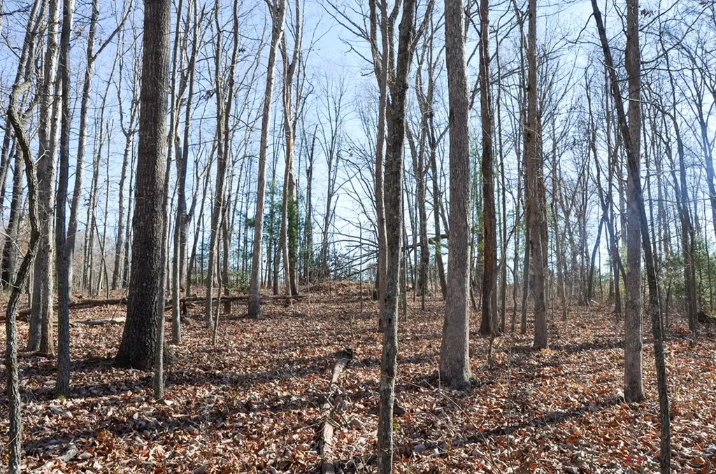 0 Sparta Highway 63.3 Acres Crossville TN 38555