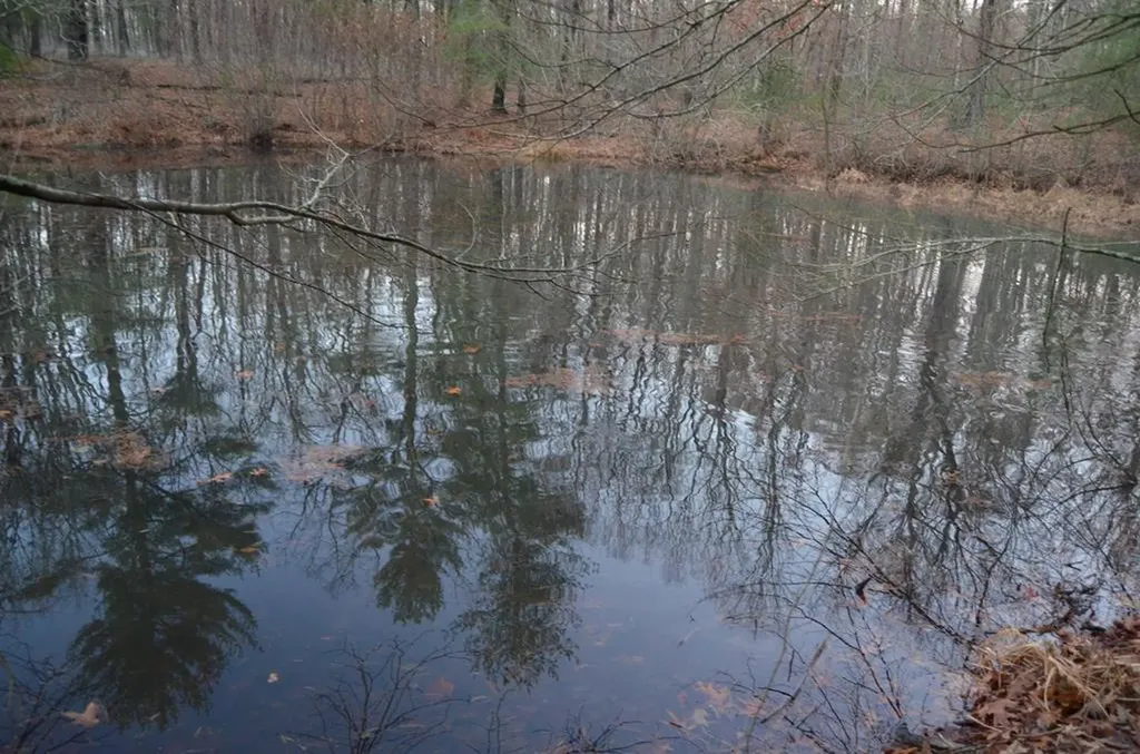 0 Sparta Highway 63.3 Acres Crossville TN 38555