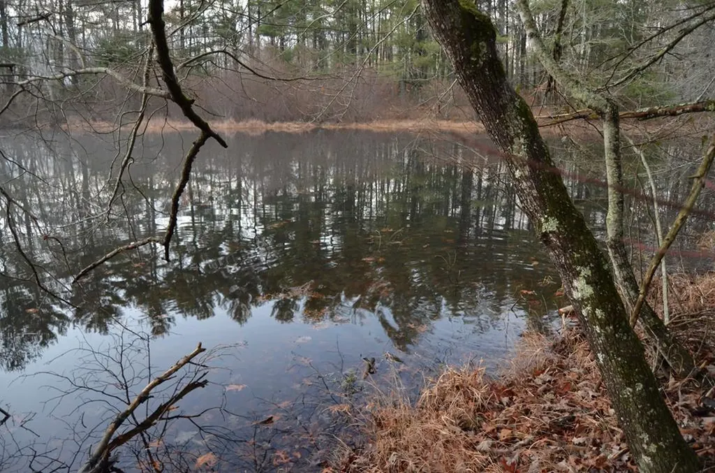 0 Sparta Highway 63.3 Acres Crossville TN 38555