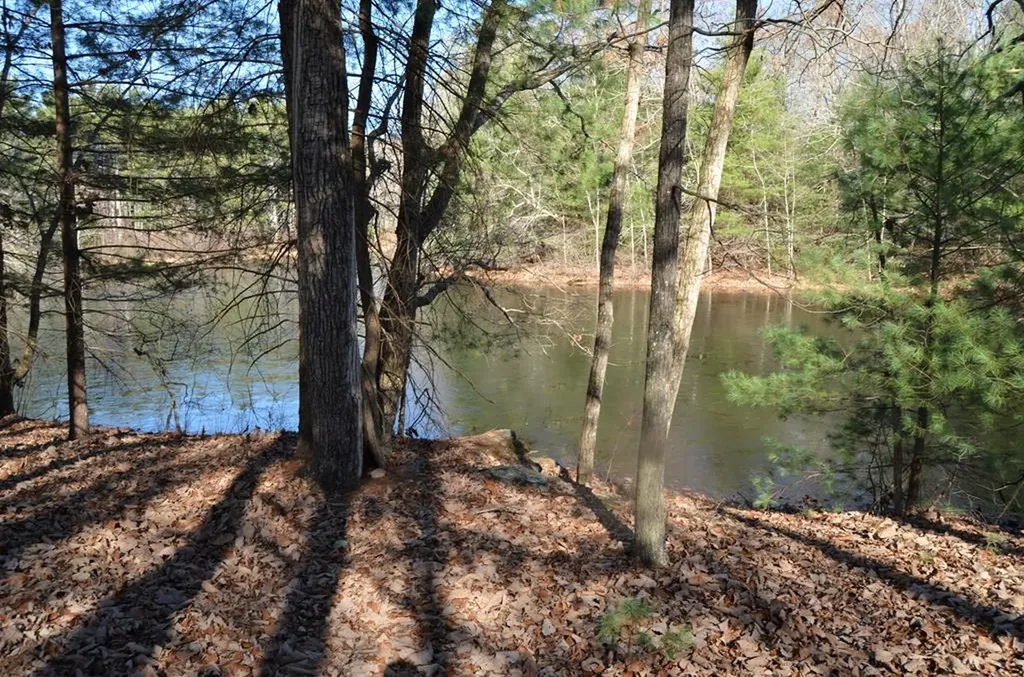 0 Sparta Highway 63.3 Acres Crossville TN 38555