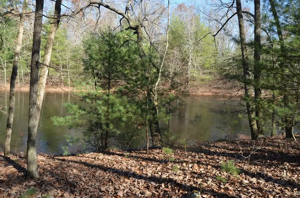 0 Sparta Highway 63.3 Acres Crossville TN 38555